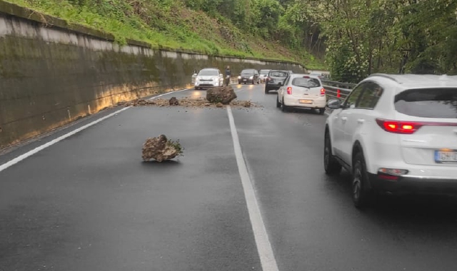 Il masso precipitato sulla carreggiata in viale Borri, al confine con Lozza