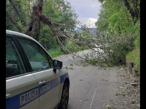 A Trieste torna la bora, raffiche oltre i 100 km all'ora
