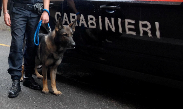 I carabinieri si sono presentati nella pizzeria dopo l’orario di pranzo. Arrestato il titolare