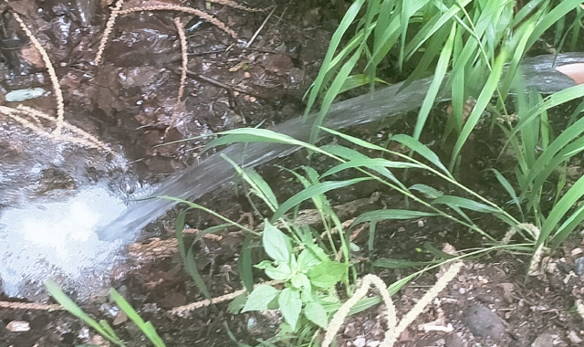 Porto Ceresio, acqua col contagocce