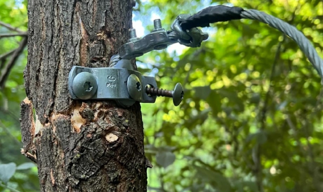 Cappio nel bosco, biker sotto shock