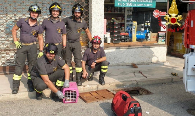 I vigili del fuoco dopo il salvataggio (foto Vigili del fuoco)