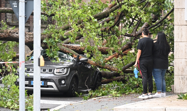 Un albero precipitato su un’auto a Legnano a causa del maltempo