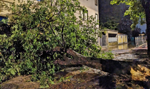 Alberi abbattuti e case danneggiate: conta dei danni a Saronno