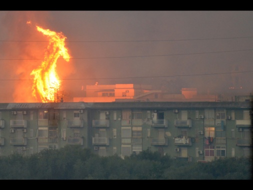 ++ Allarme diossina a Palermo, dato 35 volte oltre la norma ++