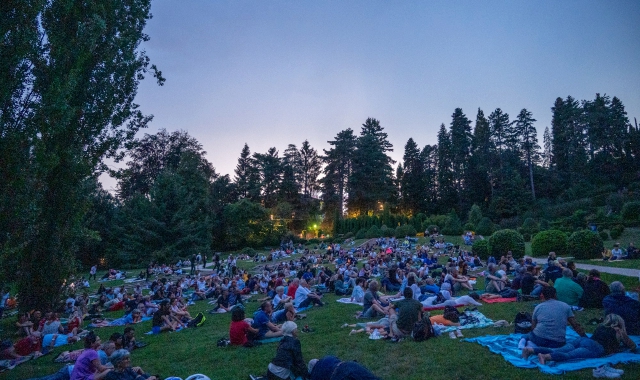 In tanti, questa sera, si sono riuniti a Villa Toeplitz per osservare le stelle cadenti (foto Benvegnù - Blitz)