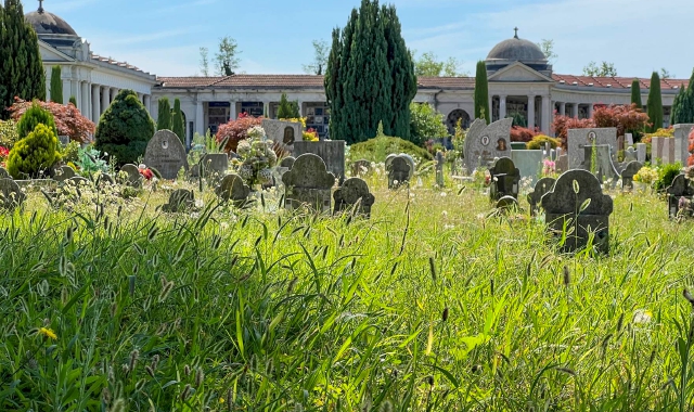 Cimitero “avvolto” nell’erba alta