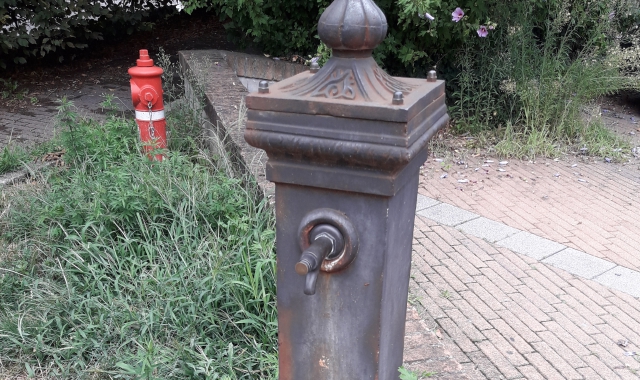 Le “vedovelle”