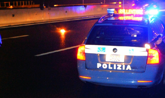 Cervo in autostrada, carambola a Gallarate