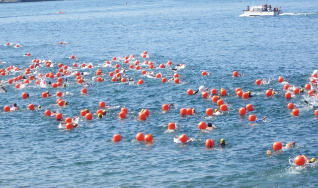 A nuoto tra Arona e Angera: tutto pronto