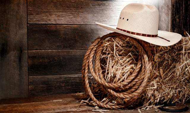 Festa Country (foto Archivio)