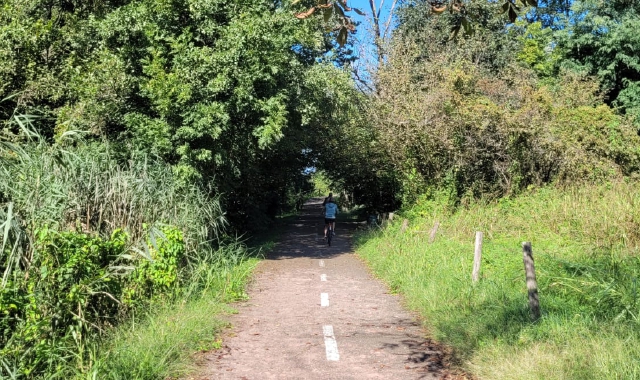 Due immagini della pista ciclopedonale del lago di Vareseai cui bordi la vegetazione sta crescendo a dismisura dopo le ultime piogge. La Provincia promette di intervenire