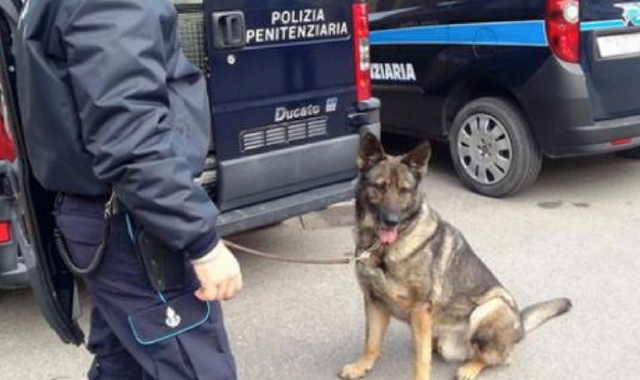 Busto Arsizio, fiutata l’insegnante