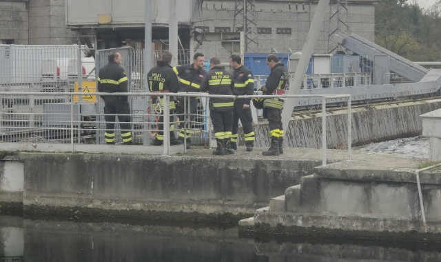 Nulla da fare per i soccorritori del testardo cinghiale (foto Pubblifoto)