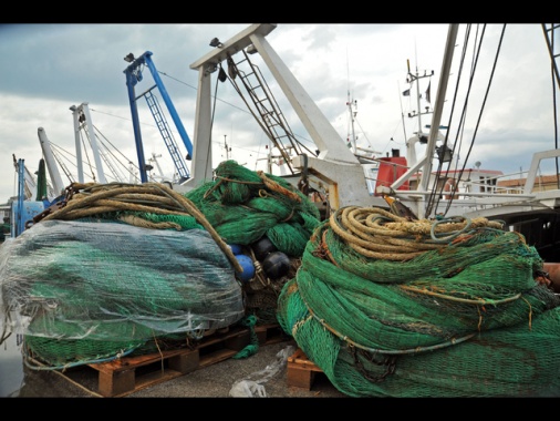 Consiglio Ue approva nuove norme per i controlli sulla pesca