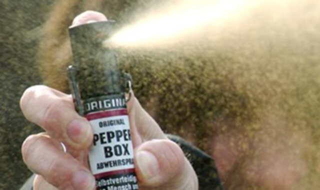 Spray al peperoncino spruzzato alle medie Anemoni (Foto Archivio)