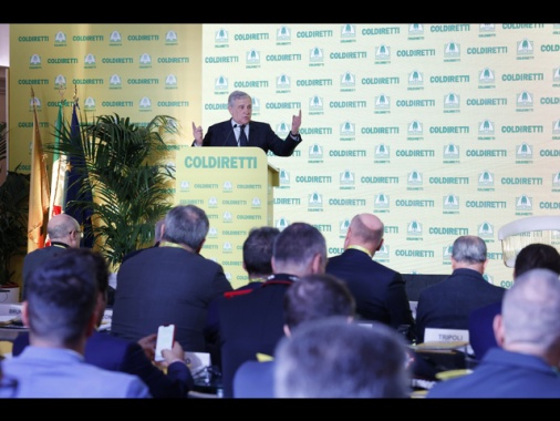 Tajani, 'Paesi del G7 non sono caduti in trappola di Hamas'