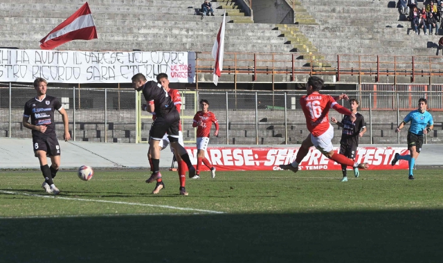 Il primo gol del Varese firmato da Palazzolo (foto Benvegnù - Blitz)