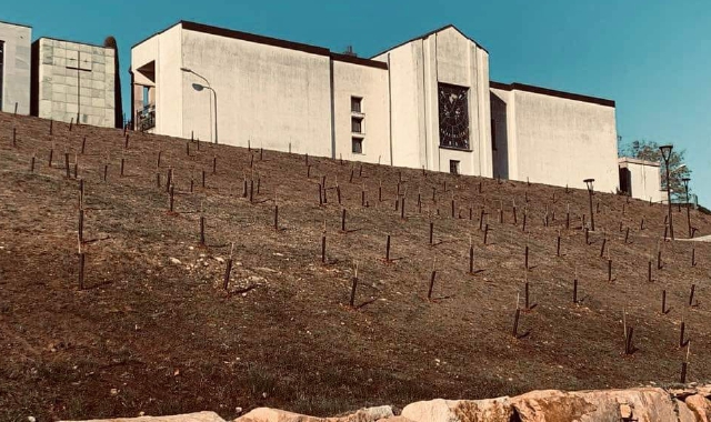 Cavaria, 414 alberi in ricordo di Mia Martini