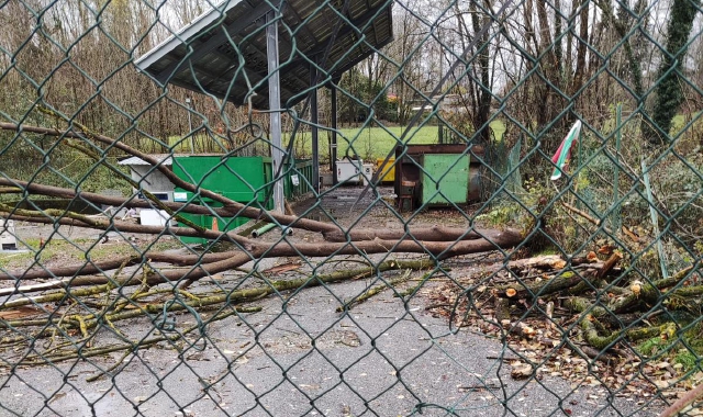 Palo del telefono pericolante a Malgesso, pianta giù a Bregano