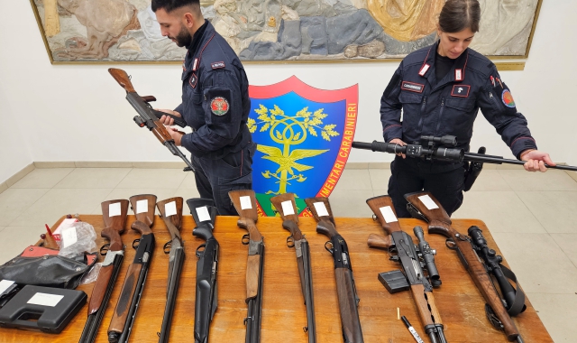 Ottanta carcasse di daini e cervi: una denuncia, sequestrati 12 fucili