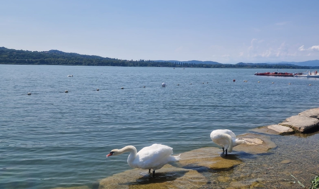Regione: sette milioni per il lago di Varese