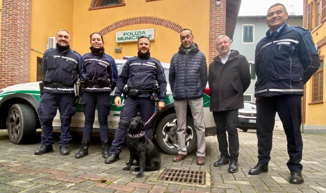 Ecco Nike, il cane antidroga di Oleggio