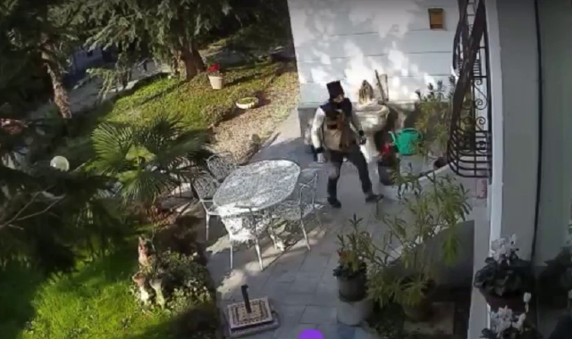 Un fotogramma del video con la presenza sospetta