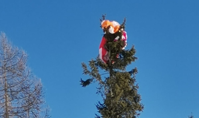 Col parapendio finisce su un albero a Craveggia