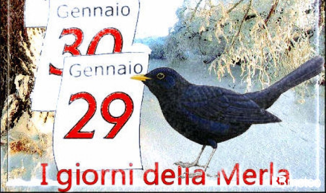 Varese, una “merla” ancora mite