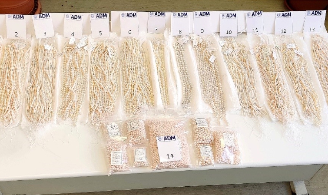 In treno da Lugano con 14 chili di perle nel bagaglio: denunciato