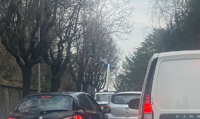 Varese, taglio alberi: code sul “ring”