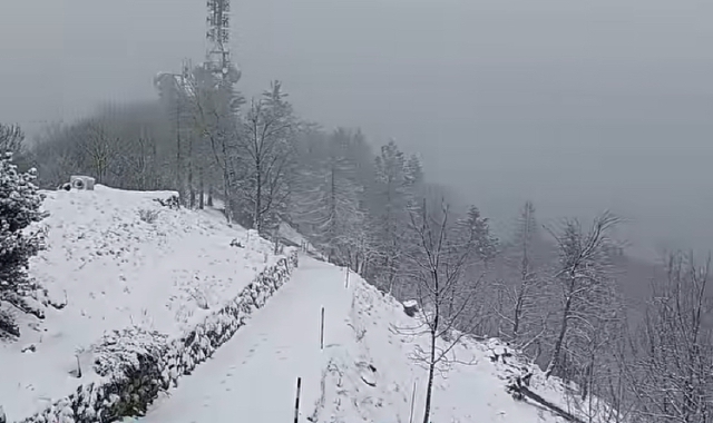 Al Campo dei Fiori torna la neve