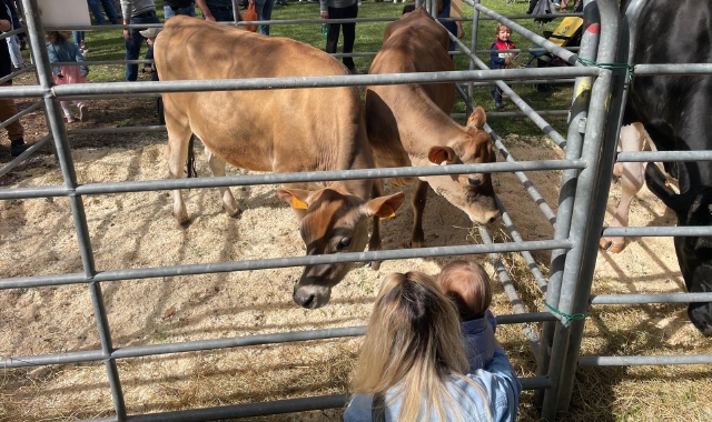 La campagna conquista Varese: 20mila visitatori