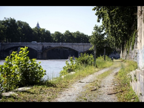 Precipita sulla banchina del Tevere a Roma, muore turista 29enne