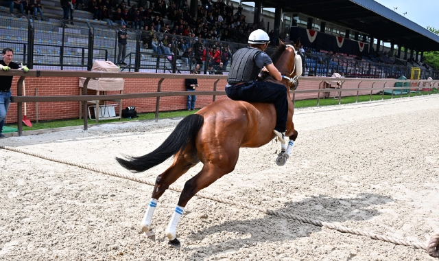 Un momento delle prove ufficiali del Palio