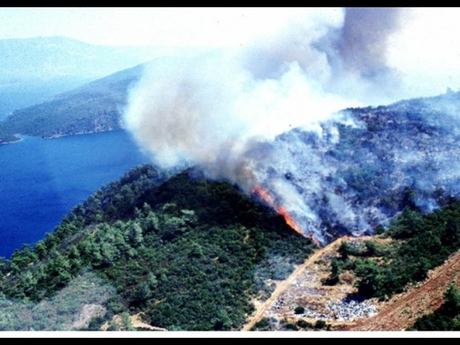 Cinque morti e decine di feriti per gli incendi in Turchia