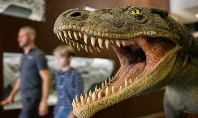Saltrio, a casa dei dinosauri