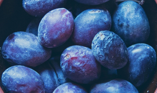 Le prugne interessate sarebbero in tutto una trentina (foto Archivio)