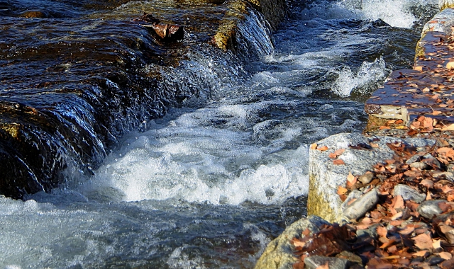I pescatori si erano già schierati in difesa del Colmegnino (foto Simone Della Ripa)