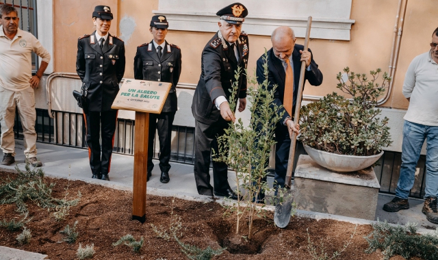 Gli alberi piantati nel 2023 al Fatebenefratelli di Roma