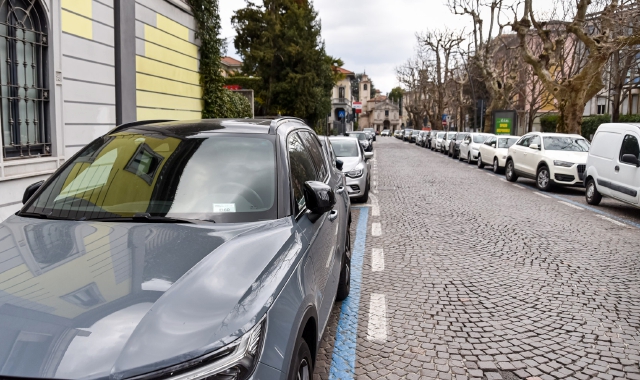 Varese città delle ibride