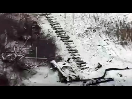 Ucraina, catturato un soldato nordcoreano ferito