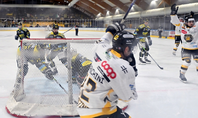 I gialloneri di Glavic sognano di esultare questa sera nella prima trasferta del Master Round (foto Blitz)