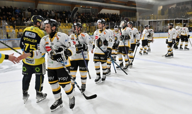 I Mastini escono beffati dalla trasferta a Feltre  (foto archivio)