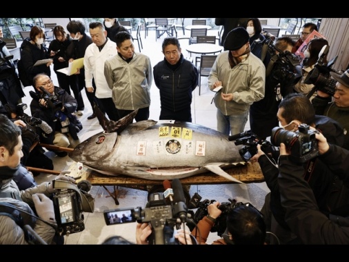 Un tonno venduto a 1,2 mln euro a prima asta dell'anno a Tokyo