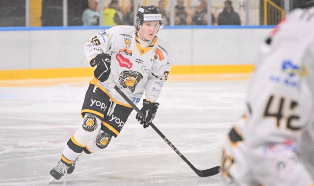 Mastini in trionfo ad Appiano