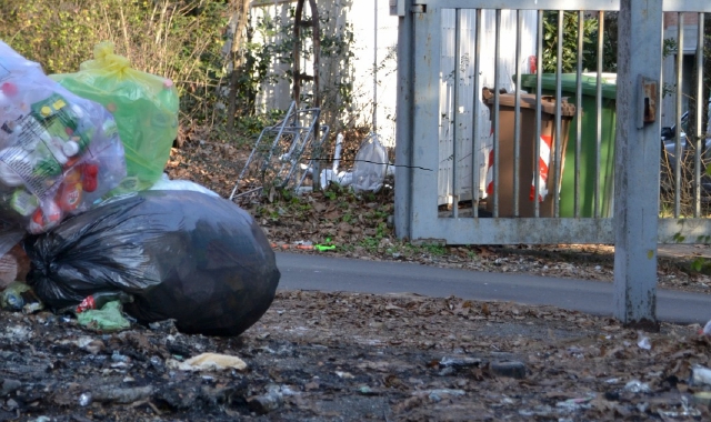 Busto, ecco il regno dei topi: è in via Azimonti