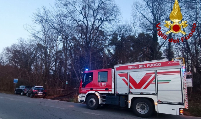 Muore travolto dall’albero che stava tagliando