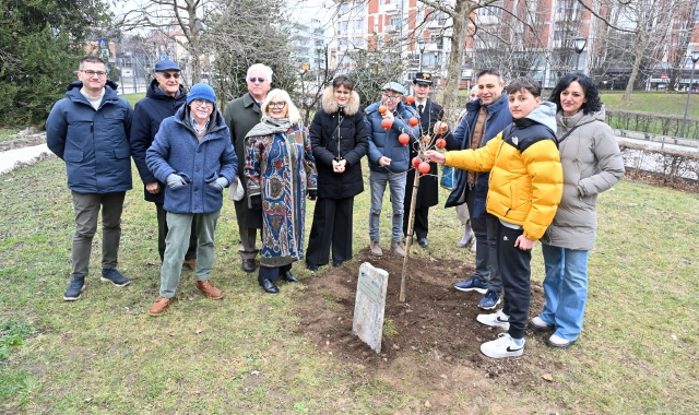 Varese, il melograno e la fiducia nella battaglia contro il cancro